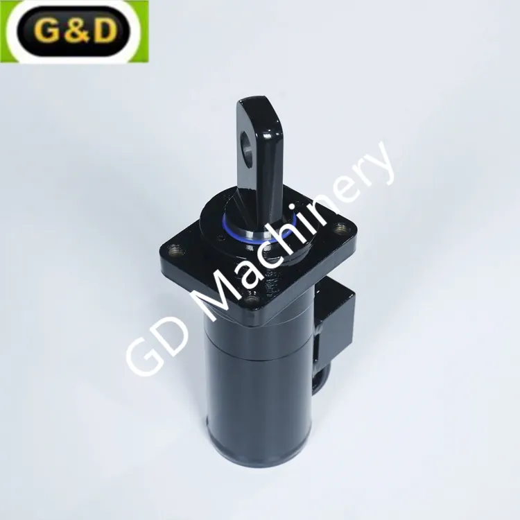 Check Valve Hydraulic Cylinder