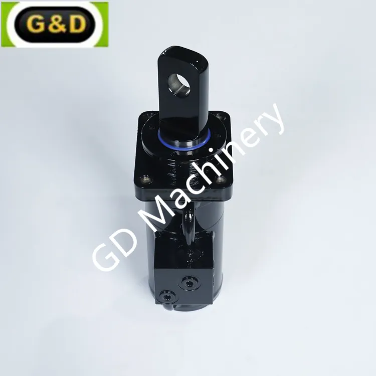 Double Counterbalance Valves Hydraulic Cylinder