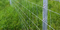 Hexagonal Wire Mesh Fence Chicken Mesh