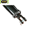 Hard Chrome Rod 3000 Psi Tie Rod Hydraulic Cylinder for Agriculture Machinery