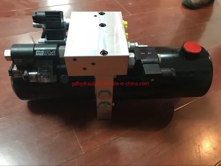 12V/24V DC Small Hydraulic Power Unit for Snow Plow