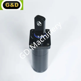 Check Valve Hydraulic Cylinder