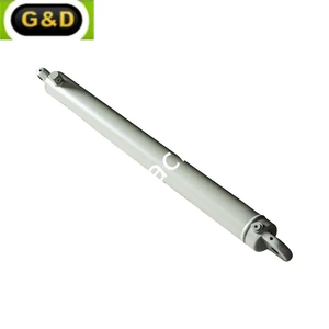 Customized Lifting Bridge Hydraulic Cylinder