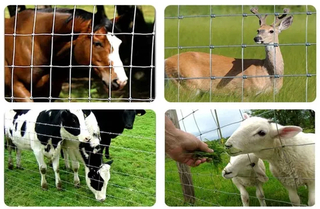 Wire Fence Cattle Horse. Sheep Fencing for Farm Fences