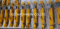 Nonstandard, Standard Hydraulic Cylinder RAM Rod for Telescopic Boom Lift- Levelling Cylinder