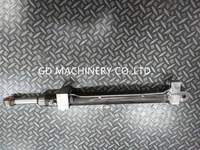 Hydraulic Cylinder with Cartridge Valves