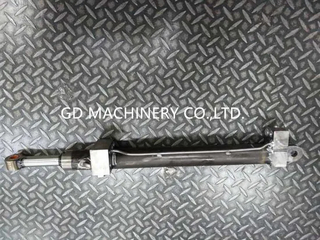 Hydraulic Cylinder with Cartridge Valves