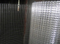 Hot Galvanized Welded Wire Mesh Rolls 2mm Wire Diamater Galvanized Fence