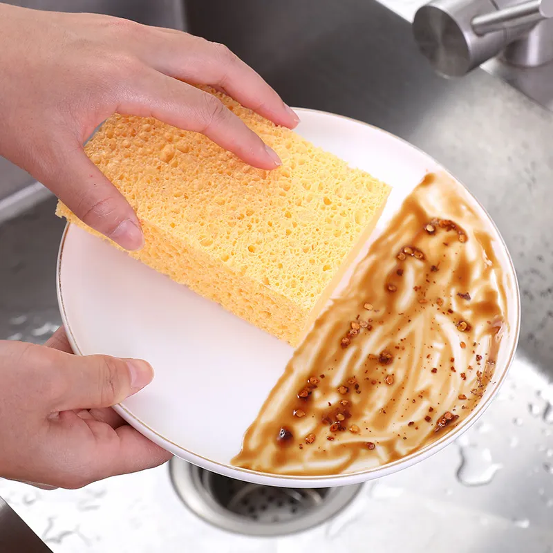 Natural Sponges, Commercial Sponges, Car Washing Sponge, Eco Friendly Sponge