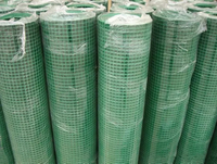 Hot Galvanized Welded Wire Mesh Rolls 2mm Wire Diamater Galvanized Fence