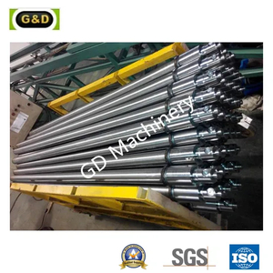 Single Acting Car Lift. Two Post Hydraulic Cylinders