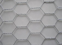 Hexagonal Wire Mesh Fence Chicken Mesh