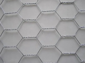 Hexagonal Wire Mesh Fence Chicken Mesh