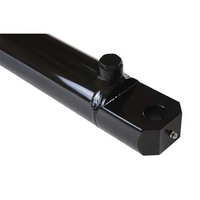 Double Acting Hydraulic Cylinder - Tang Universal Hydraulic Cylinder 14 Inch Stroke Tang Style