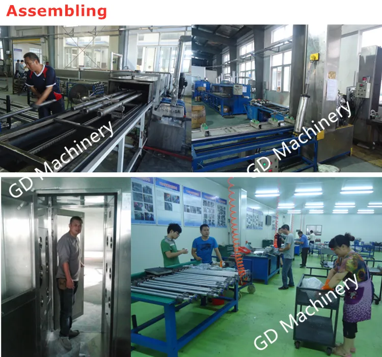 IP66 Customized DC Electric Cylinder