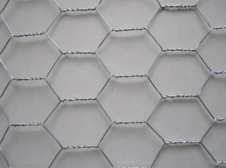 Hexagonal Wire Mesh Fence Chicken Mesh
