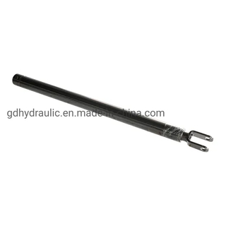 Two Ways Customized Hydraulic Cylinder for Lifter